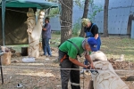 Скульпторы за работой
