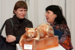 После открытия