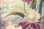 Любовь Маврычева